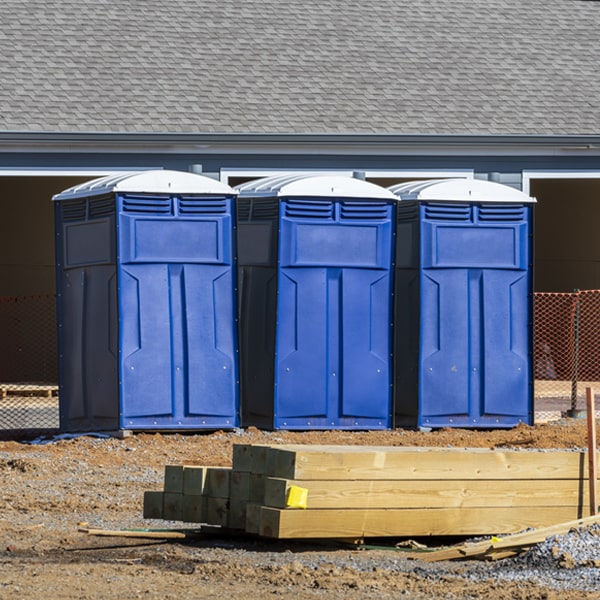 are there different sizes of porta potties available for rent in Fleetville